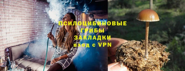 спиды Абинск