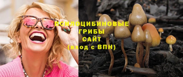 спиды Абинск